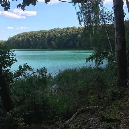 Вилла Agroturystyka "Zielone Zacisze" Лагув Экстерьер фото