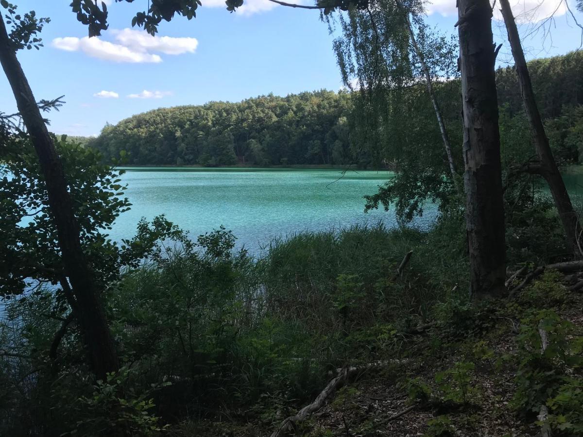 Вилла Agroturystyka "Zielone Zacisze" Лагув Экстерьер фото